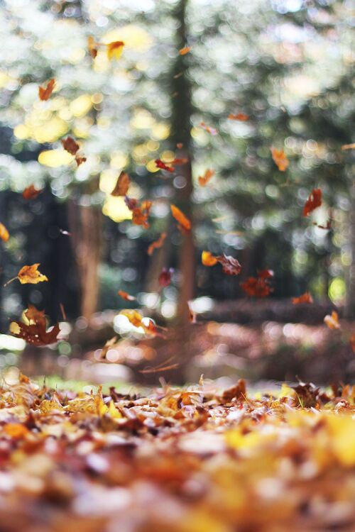 Foto von Autumn Mott Rodeheaver auf Unsplash